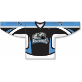 Sublimated Hockey Jerseys Buy ZH101-DESIGN-H1123 for your Team