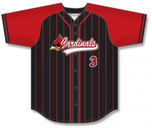 Windsor - Stars and Stripes Sublimated Full-Button Baseball Jersey